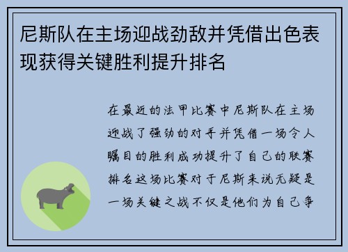 尼斯队在主场迎战劲敌并凭借出色表现获得关键胜利提升排名