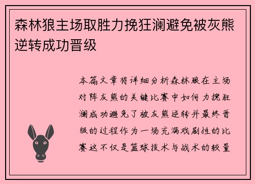 森林狼主场取胜力挽狂澜避免被灰熊逆转成功晋级