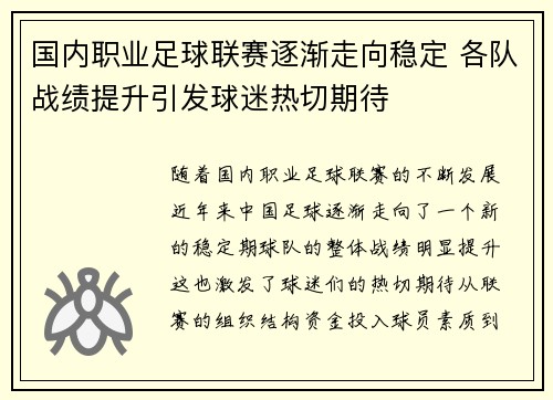 国内职业足球联赛逐渐走向稳定 各队战绩提升引发球迷热切期待