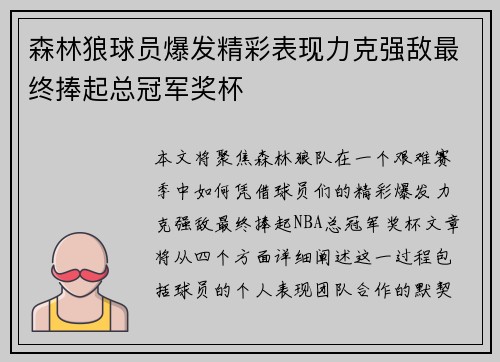 森林狼球员爆发精彩表现力克强敌最终捧起总冠军奖杯