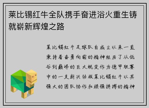 莱比锡红牛全队携手奋进浴火重生铸就崭新辉煌之路