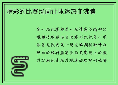 精彩的比赛场面让球迷热血沸腾