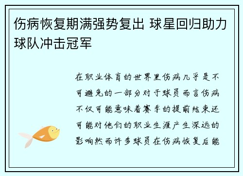伤病恢复期满强势复出 球星回归助力球队冲击冠军