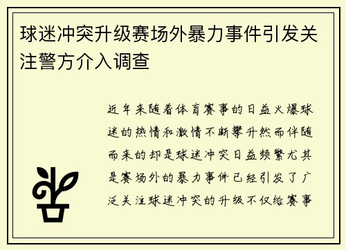 球迷冲突升级赛场外暴力事件引发关注警方介入调查