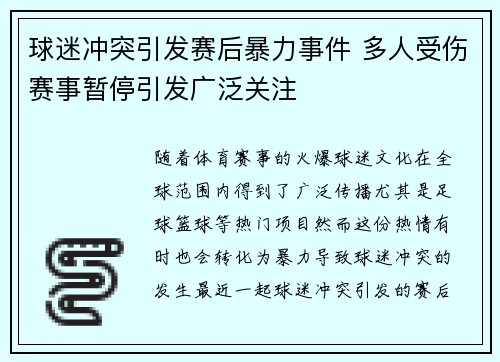 球迷冲突引发赛后暴力事件 多人受伤赛事暂停引发广泛关注